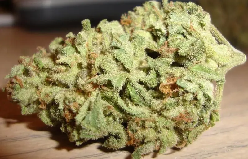 Chem-wayusa